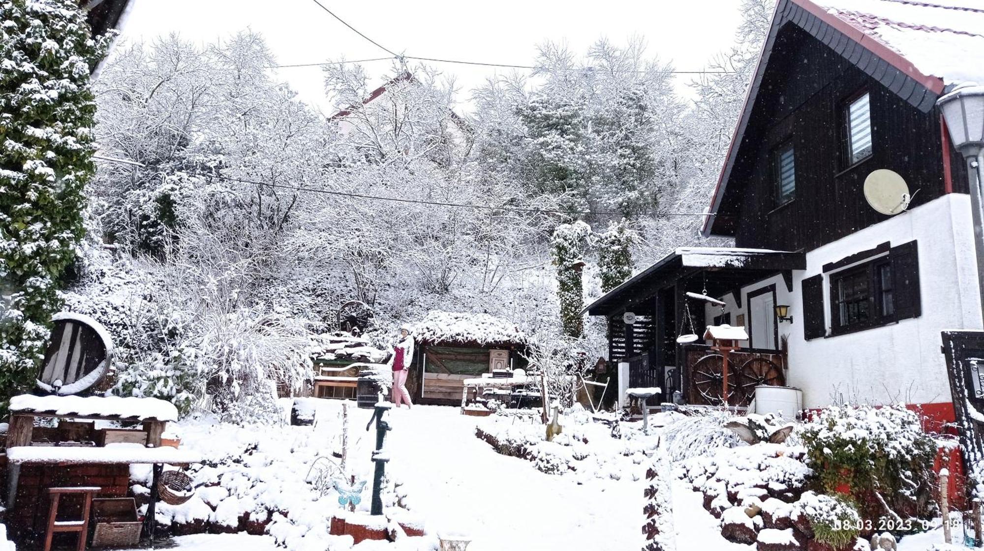 Villa Tom'S Huette Udler Esterno foto